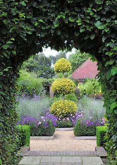 a garden with lots of green plants and purple flowers in the center is shown through an archway