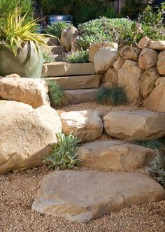 a garden with rocks and plants in the middle, including succulents on either side