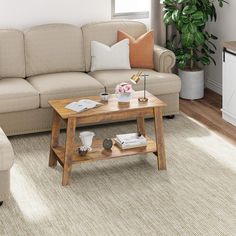 a living room with a couch, coffee table and potted plant in the corner