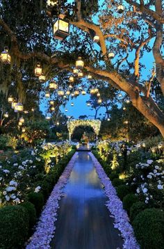 the walkway is lined with flowers and lit up lanterns in the distance are trees, shrubs, and bushes