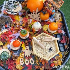 a tray filled with halloween decorations and pumpkins on top of green grass next to other items