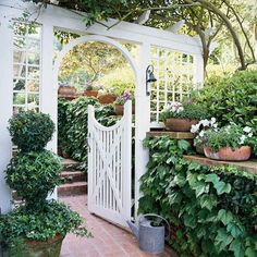 a garden with potted plants and an arbor