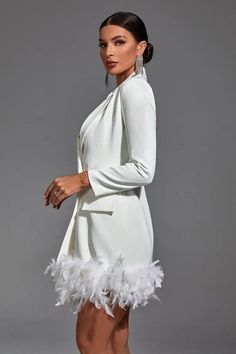 White Long Sleeve Dress With Feather Trim, Chic Feathered Mini Dress For Fall, Chic Winter Dresses With Feather Trim, Feathered Mini Dress For Fall, Long Sleeve Feather Dresses For Fall, Chic Feathered Mini Dress For Spring, Long Sleeve Feathered Dresses For Night Out, Chic Feather Mini Dress For Spring, Elegant Mini Dress With Feather Trim For Fall