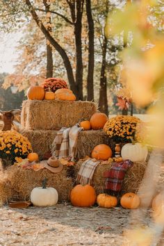 hay bales stacked with pumpkins and gourds