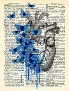 blue butterflies are flying around the heart on an old book page with water dripping from it