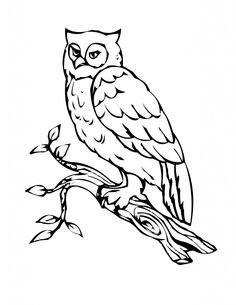 an owl sitting on top of a tree branch