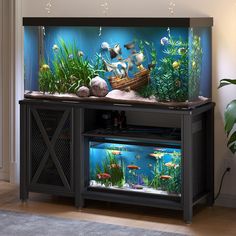 an aquarium with fish and plants in it