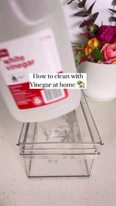 a gallon of vinegar sitting on top of a counter next to a vase with flowers