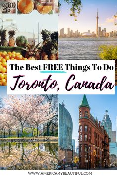 the best free things to do in toronto, canada