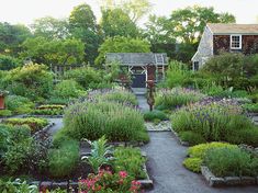 a garden with lots of different types of flowers and plants around it, including lavenders