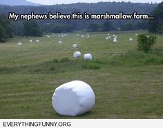 a large white ball sitting in the middle of a field with lots of bales