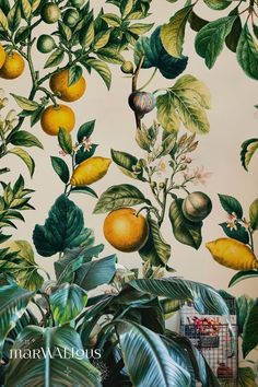 an orange tree with lots of fruit on it's branches in front of a wall mural