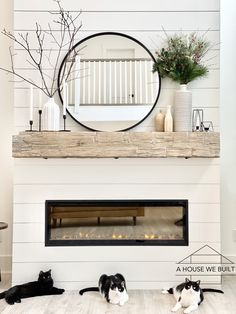 two black and white cats laying on the floor in front of a fireplace with a round mirror above it