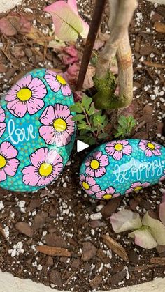 two painted rocks sitting on top of dirt next to a potted plant with flowers