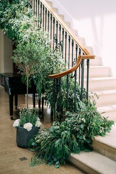 the stairs are lined with plants and potted plants