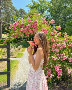 Happy 23rd Birthday, Sun Flowers, Insta Photo Ideas, Summer Photography, Flower Field, Spring Season, Summer Flowers