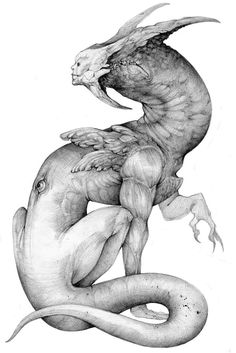 a drawing of a creature with wings on it's back, and its tail curled up