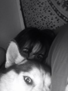 a woman laying on top of a bed next to a large husky dog with blue eyes