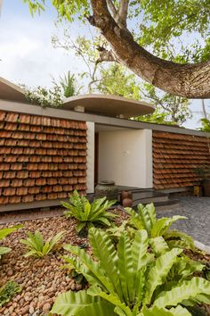 the house is surrounded by plants and rocks, with an orange tiled wall in the background