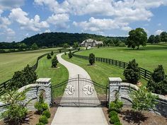 a driveway leading to a gate in the middle of a lush green field