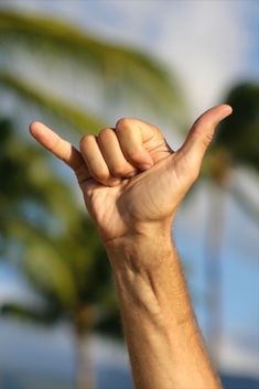 a person holding their hand up in the air with palm trees in the back ground