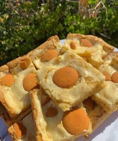 several pieces of pie sitting on top of a white plate with trees in the background