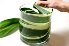 a person holding a green leaf in a glass vase