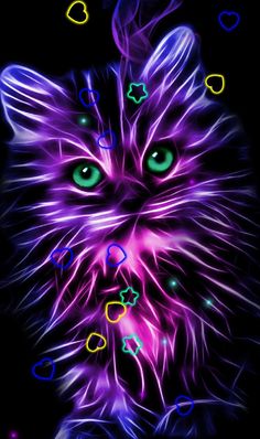 a cat with glowing green eyes and purple fur on it's head, in the dark