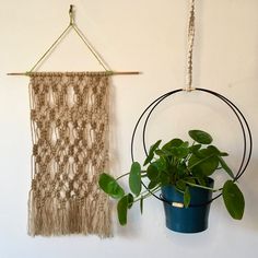 a potted plant sitting next to a macrame wall hanging