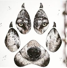 a drawing of a wolf's paw with four different eyes