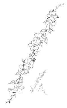 a line drawing of flowers on a white background