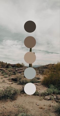 an image of a desert landscape with circles hanging from it