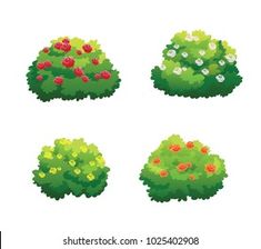 four different types of bushes with flowers and leaves on them, all in the same pattern