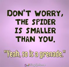 Don't worry, the spider is smaller than you. "Yeah. So is a grenade." #coolfunnyquotes Funny Phrases Short, Spider Quotes, Cool Funny Quotes, Hate Valentines Day, Latest Quotes, Short Funny Quotes, My Hood, Funny Phrases