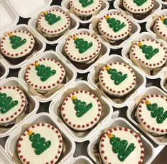 cupcakes decorated with green and white icing in trays