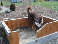 a dog is standing in the middle of a wooden pen with his head sticking out