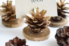 pine cones with place cards placed on them