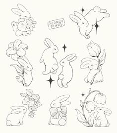 some drawings of rabbits and flowers on a white background