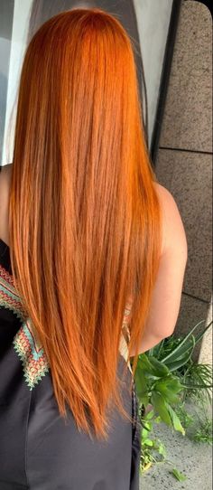 Orange Hair Straight, Medium Red Gold Hair, Long Straight Ginger Hair, Ginger Hair Korean, Straight Ginger Hair, Cobrizo Hair, Ginger Straight Hair, Straight Orange Hair, Orange Copper Hair Color