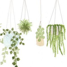 three hanging planters with green plants in them