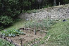 an outdoor vegetable garden in the middle of a field with lots of plants growing on it