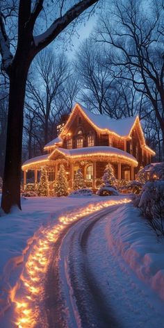 a house covered in christmas lights on a snowy road with trees and bushes around it