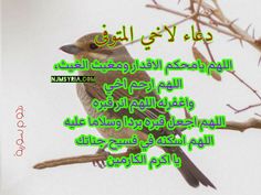 a bird sitting on top of a tree branch next to a quote from an arabic language