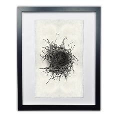 a bird's nest in black and white framed paper