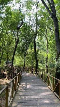 a wooden bridge that is surrounded by trees