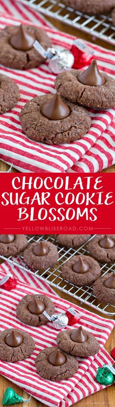 chocolate sugar cookie blossoms on a red and white striped towel with the title overlay