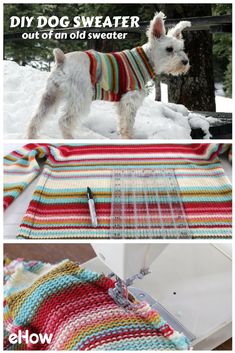 a dog standing on top of a blanket next to a crochet afghan and the words diy dog sweater out of an old sweater