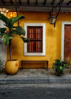 a yellow building with two plants and a bench on the sidewalk in front of it