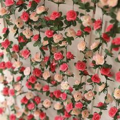 red and pink flowers are hanging on the wall