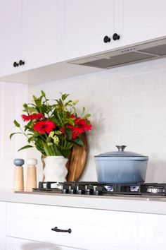 a potted plant sitting on top of a kitchen stove next to a vase with red flowers